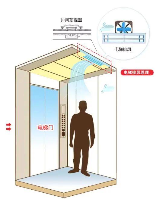 新澳门最准的四肖期期准，详细解答、构建解答解释落实