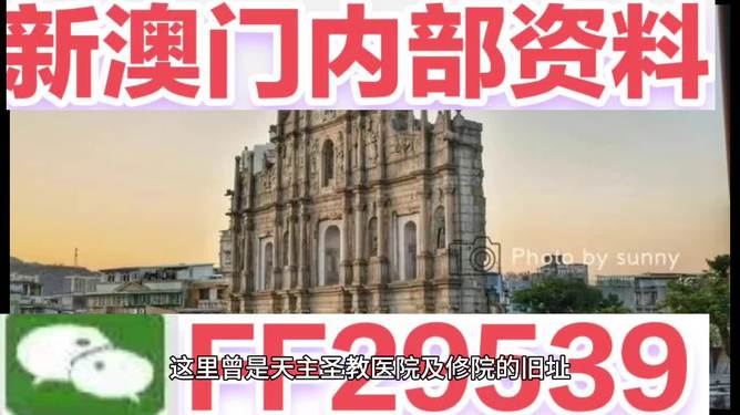 2025新澳门今晚特马详细解答、解释与落实、专家解答解释落实