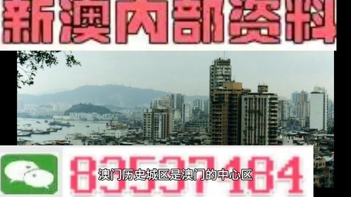 新澳门精准四肖期期中特公开1警惕虚假宣传、全面解答与解释、统计解答解释落实