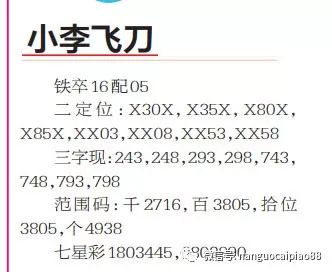 澳门一码一肖一待一中今晚全面释义、专家解答解释落实