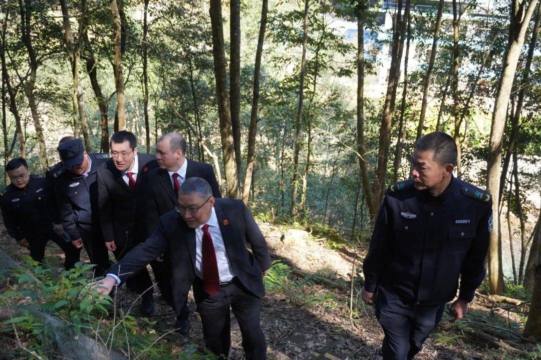 2025新澳门码今晚开奖结果的警惕虚假宣传-全面释义、构建解答解释落实