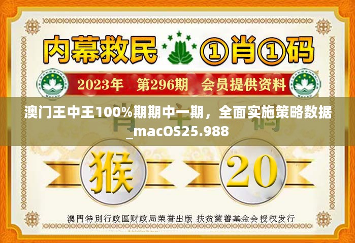 澳门王中王100%正确答案最新章节,警惕虚假宣传,综合解答解释落实